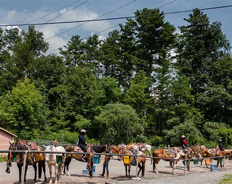 Horseback Riding In The Poconos Pa Mountain Creek Riding Stable