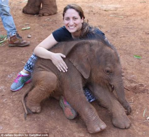 Baby Elephant Nampuu Cuddles Thailand Tourists In Instagram Snaps
