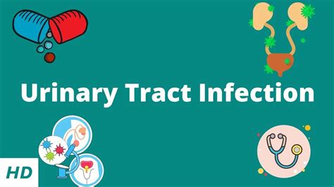 Urinary Tract Infection Causes Signs And Symptoms Diagnosis And