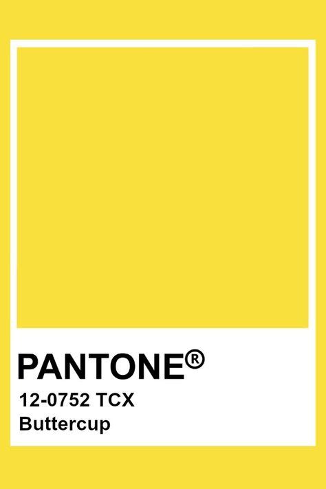 9 Panton Colors Ideas Pantone Colour Palettes Pantone Palette