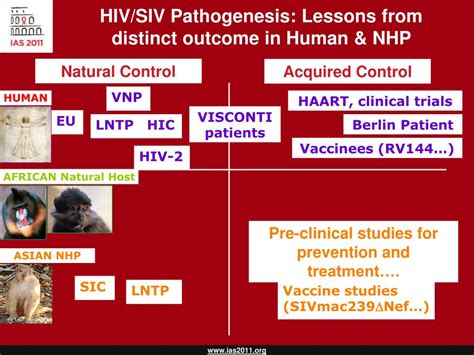 Ppt Advancement Of Science And Research On Hiv Powerpoint