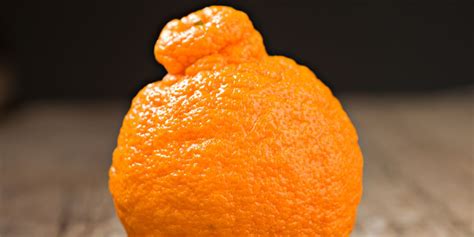 Orange (colour), occurs between red and yellow in the visible spectrum. What Is A Sumo Citrus Orange? - Why Are Sumo Oranges So ...