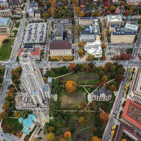 An Aerial Of Pitts Campus In The Fall As The Leaves In The