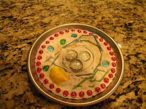 Maybe you would like to learn more about one of these? This was son's class project. Model of animal cell ...