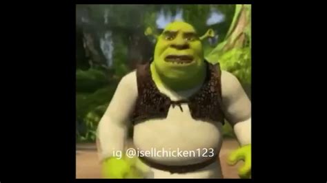 Really Funny Shrek Pictures