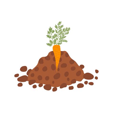 Carrot Grow Up In The Ground Hand Drawn Vector Carrot In Brown Ground