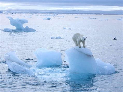 10 Facts You May Not Know About The North Pole
