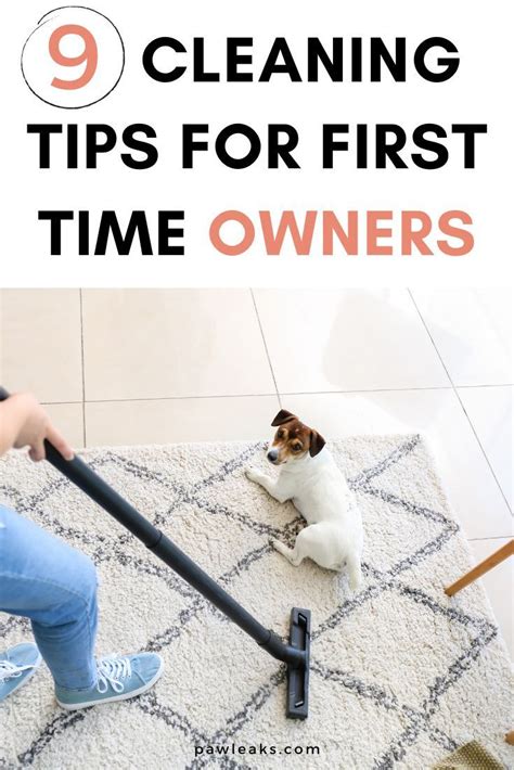 Pin On Cleaning Tips For Dog Owners