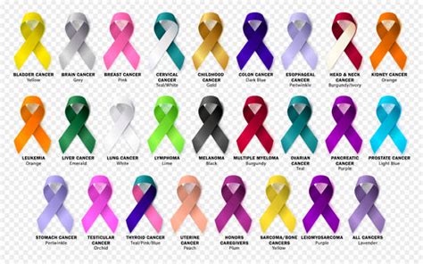 Cancer Ribbon Stock Photos Pictures And Royalty Free Images Istock