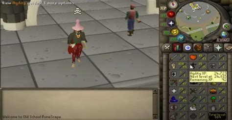 10 Tips For Building The Ultimate Old School Runescape Pure Account