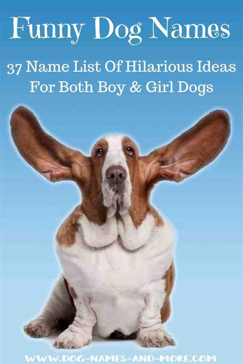 Funny Dog Names Humorous Male And Female Naming Ideas