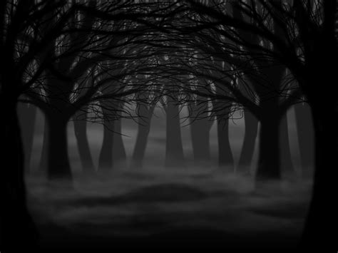 Free Download Creepy Forest Background Sf Wallpaper 1024x768 For Your
