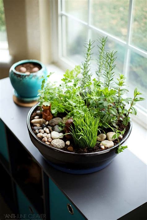 Here are some of the advantages of having an indoor garden. How to Make an Amazing DIY Indoor Cat Garden | The Anti ...