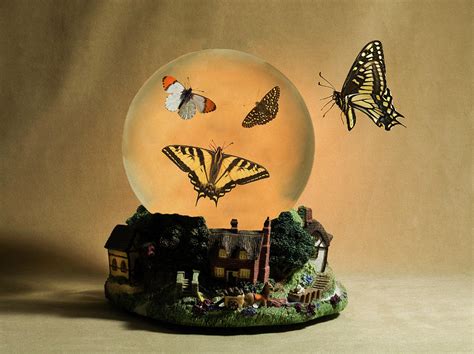 Butterflies On A Snow Globe Photograph By Buddy Mays Pixels