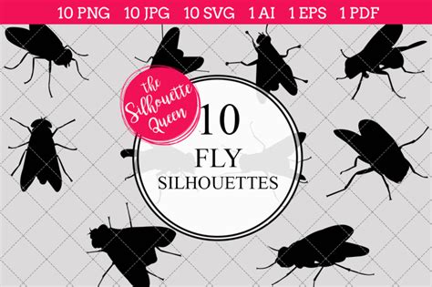 Fly Silhouettes Vectors By The Silhouette Queen Thehungryjpeg