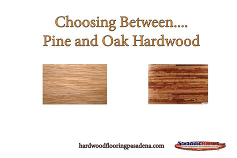 Both Pine And Oak Are Two Of The Variety Of Species Which Are Well