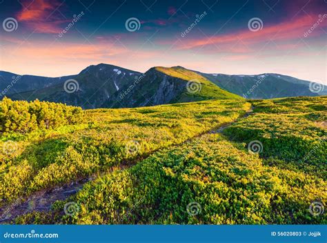 Colorful Summer Sunrise In The Carpathian Mountains Stock Image