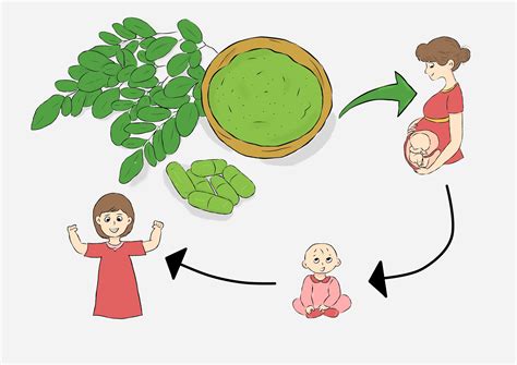Cegah Gizi Buruk dengan Ekstrak Daun Kelor - identitas Unhas