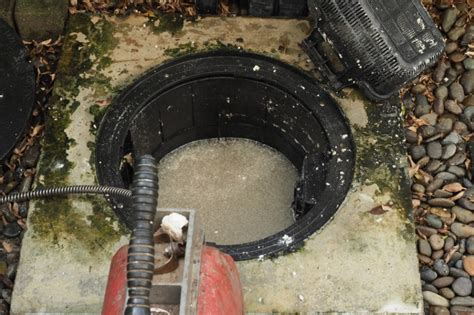 How To Tell If You Have A Clogged Sewer Line Home Zenith