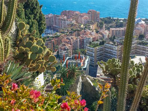 The Exotic Garden And Cave In Monaco How To Visit