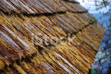 Moss On Wooden Roof Shingles Stock Photo Royalty Free Freeimages