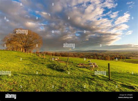A Late Afternoon View Of The Cotswolds Countryside From Bredon Hill In