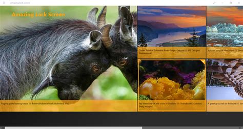 Free Download How To Set Bing Homepage Image As Windows 8 Desktop