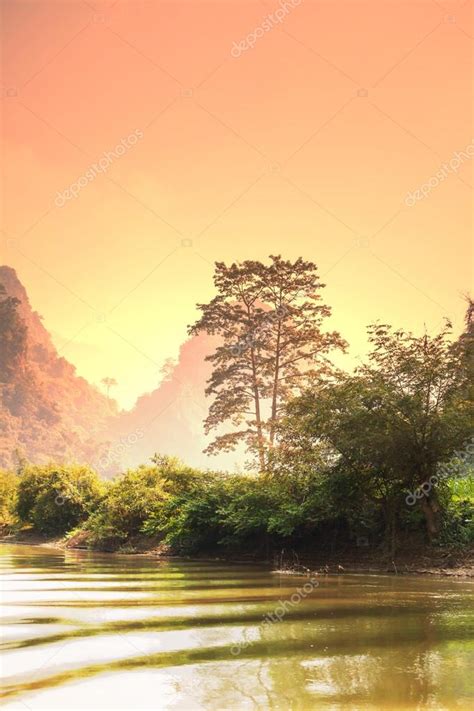 Jungle In Vietnam — Stock Photo © Kamchatka 22155179