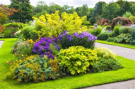 38 Clever Backyard Shrub Garden Ideas Landscaping Shrubs Outdoor