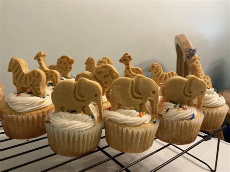 Cupcakes For My Two Year Old Who Loves The Zoo With Homemade