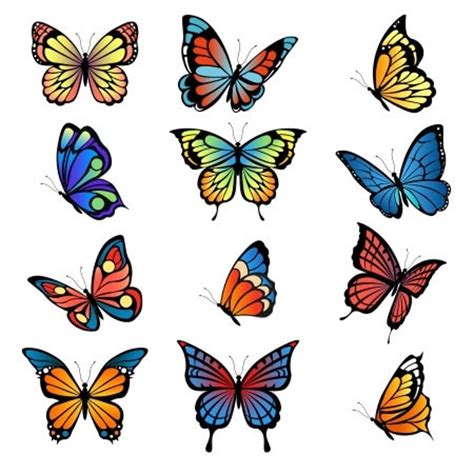 Butterfly SVG Butterfly clip art Butterfly silhouette | Etsy