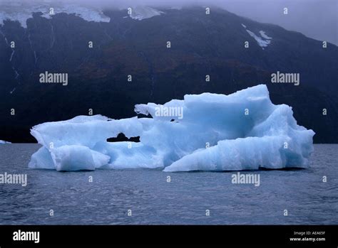 Iceberg In Portage Lake Alaska Stock Photo Alamy