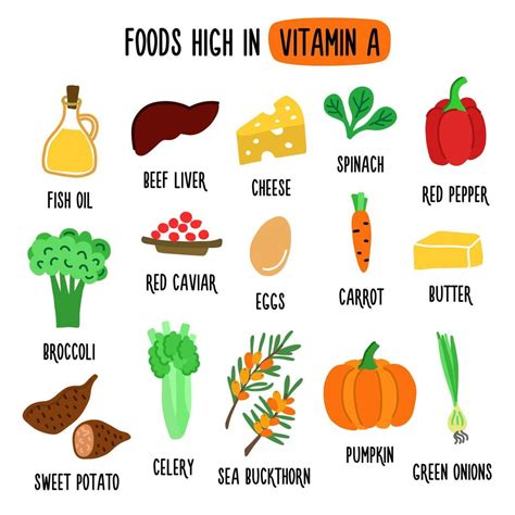 Foods High In Vitamin A Vector Illustration With Healthy Foods Rich In