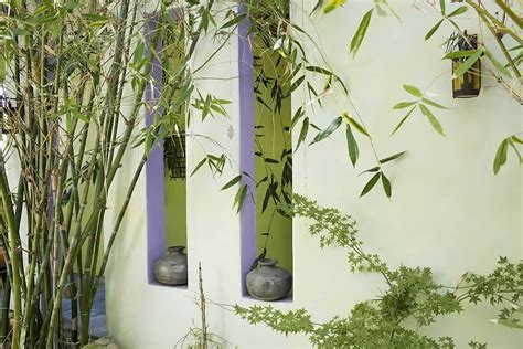 The Pros And Cons Of Planting Bamboo Amaze Vege Garden
