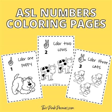 Free Asl Numbers Coloring Pages Two Pink Peonies