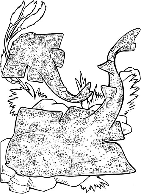 Https://tommynaija.com/coloring Page/angel Fish Coloring Pages Printable