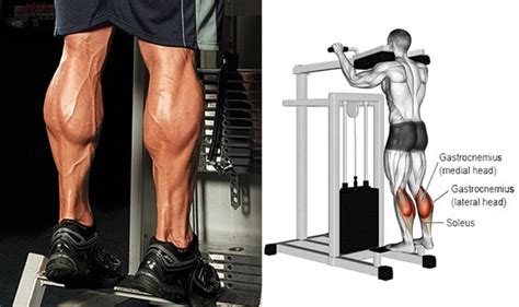 4 Exercises To Strengthen Your Calf Muscles