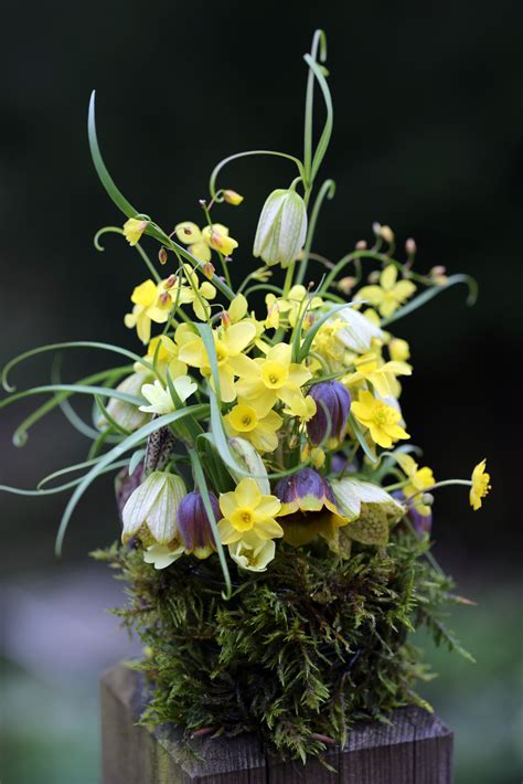 8 Steps To Beautiful Flower Arrangements Alpine Garden Society