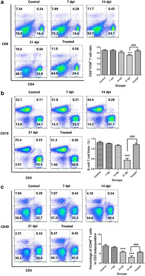 A Cantonensis Infection Alters The Cd4cd8 Ratio Bt Cell Ratio And