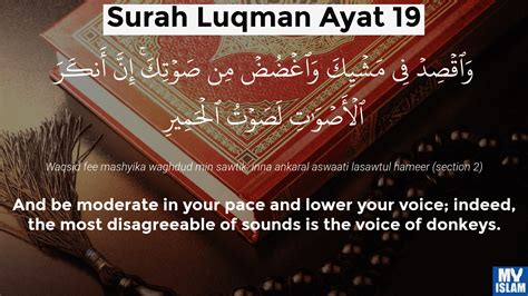 Surah Luqman Ayat 17 3117 Quran With Tafsir My Islam