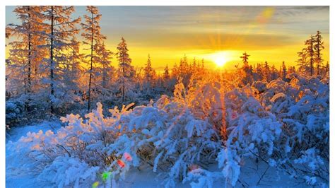 Winter Sunrise Nature Wallpapers - Top Free Winter Sunrise Nature ...