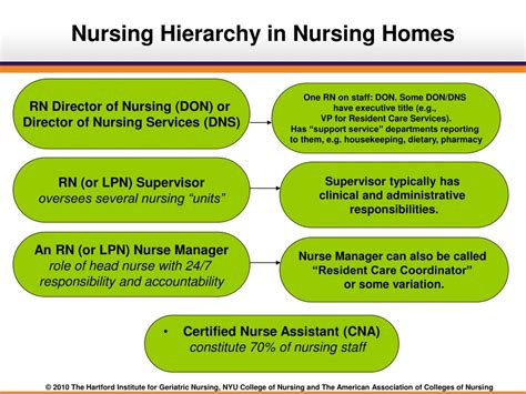 Ppt Nursing Practice In Nursing Homes Powerpoint Presentation Free