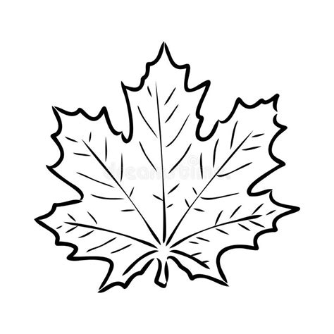 Fall Leaf Clipart Black And White Leaf Drawing Vector Clipart Stock