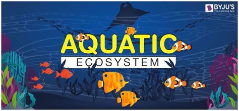 Aquatic Ecosystem Updated For 2021 2022 Coolgyanorg