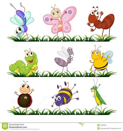 Insecta Clipart 20 Free Cliparts Download Images On