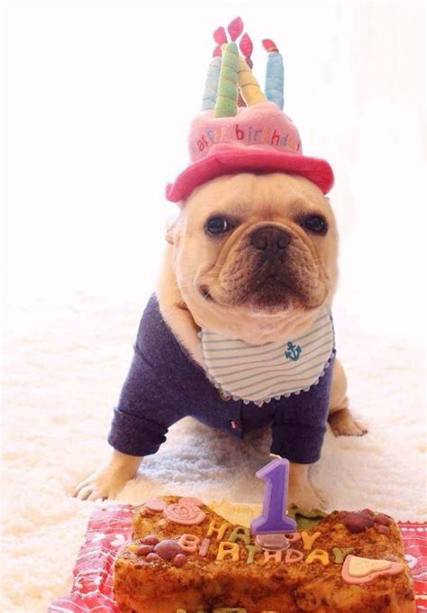 Soft Fleece Dogs Birthday Hats Pets Puppy Cosplay Cap Party Head Wear