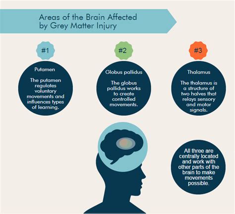 But how a brain injury affects a child's motor functioning and intellectual abilities is highly dependent on the nature of a brain injury. Understanding Grey Matter Injury and Cerebral Palsy ...