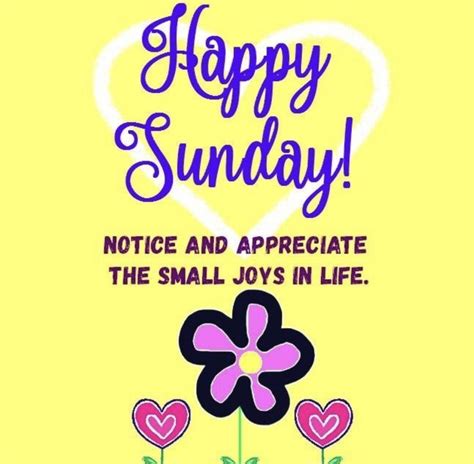 Happy Sunday Happy Sunday Quotes Good Afternoon Quotes Happy Sunday