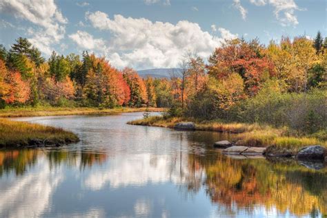 Laminated Maine River Colorful Fall Foliage Leaves Changing Trees Lake