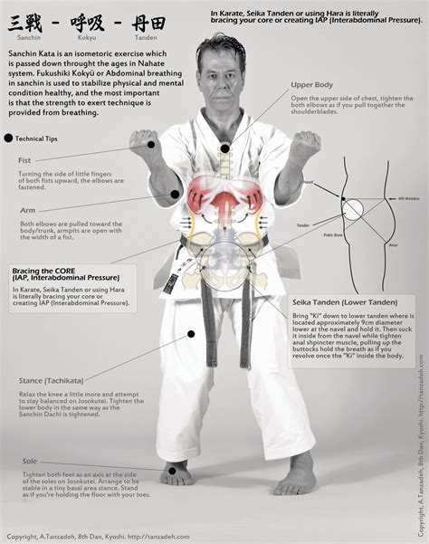 Sanchin Abdominal Breathing Core And Tanden Atanzadeh 8th Dan